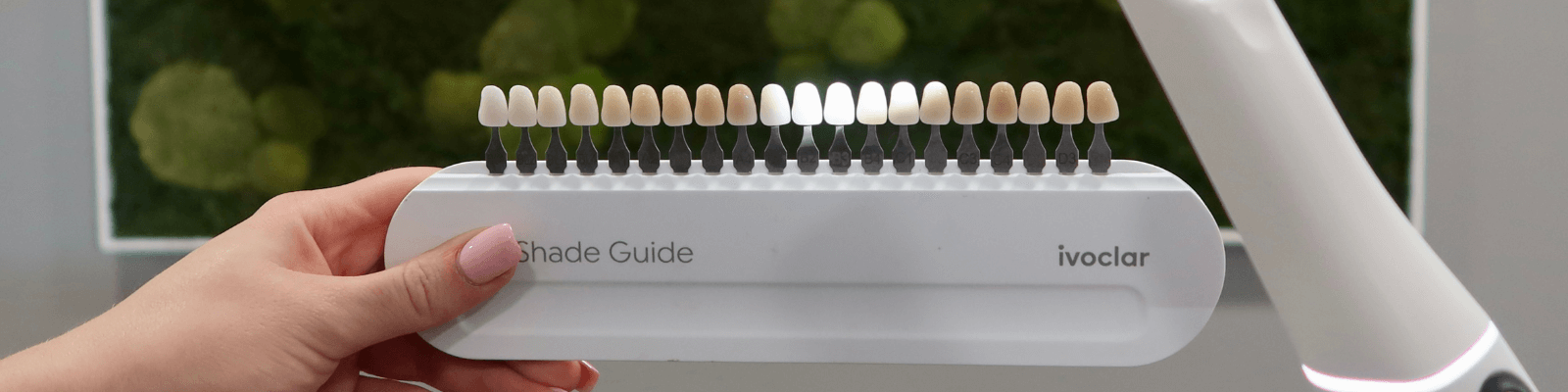 Zahnimplantat Dr. Pantas Düsseldorf